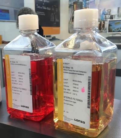 lonza X-VIVO 15 免疫細(xì)胞無血清培養(yǎng)基
