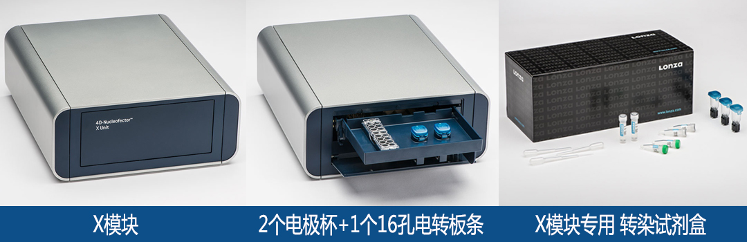 lonza Nucleofector X單元轉染試劑盒