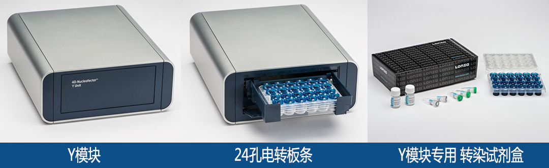lonza Nucleofector y單元轉染試劑盒