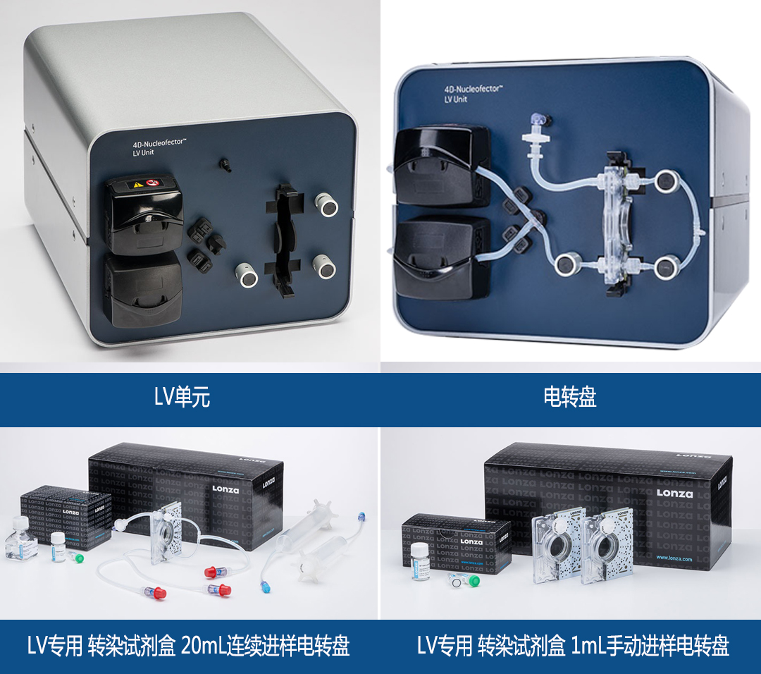 lonza Nucleofector lv單元轉染試劑盒