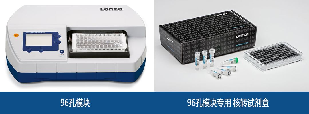 lonza Nucleofector 96孔單元轉染試劑盒