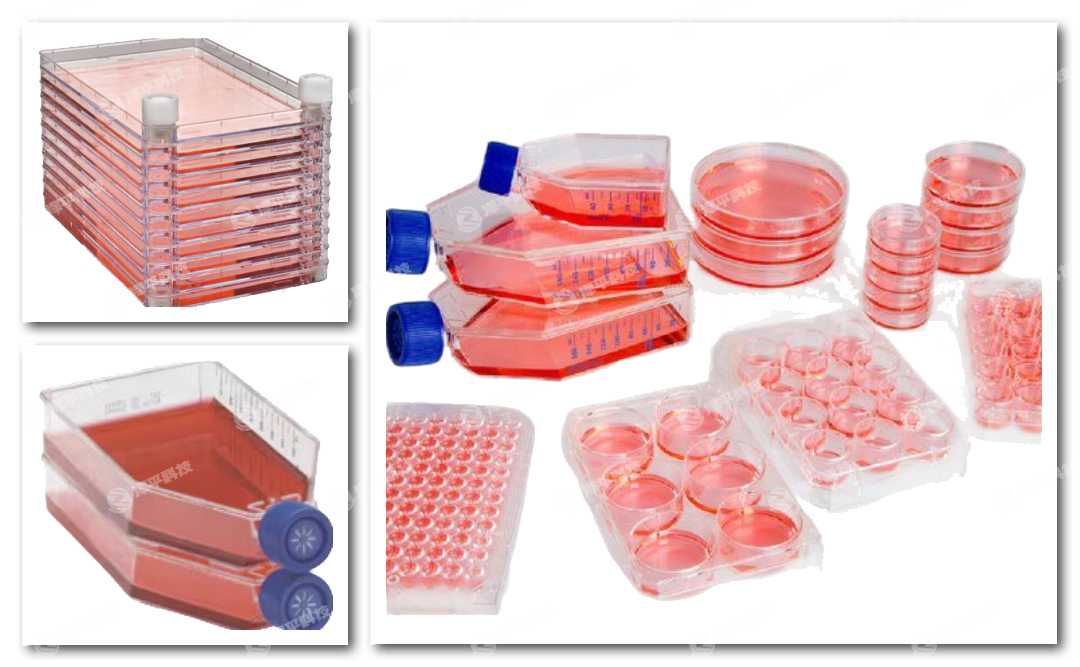 thermofisher NuncB塢EasYFlask͸wBƿʽB󡢼SBܡεLabServBƿ̱ƽ