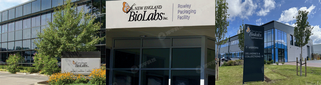 New England Biolabs, NEB官方授權(quán)一級(jí)代理商北京澤平