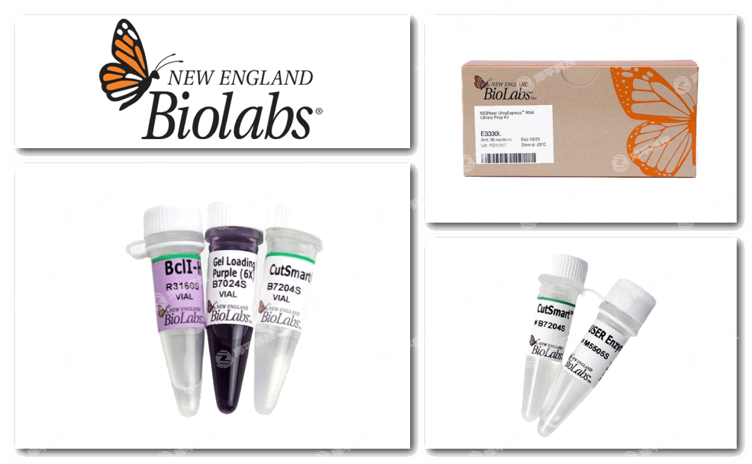 New England Biolabs, NEB官方授權(quán)一級(jí)代理商北京澤平